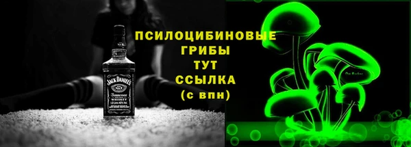 дмт Няндома