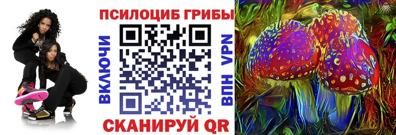 Псилоцибиновые грибы GOLDEN TEACHER  Бабушкин 